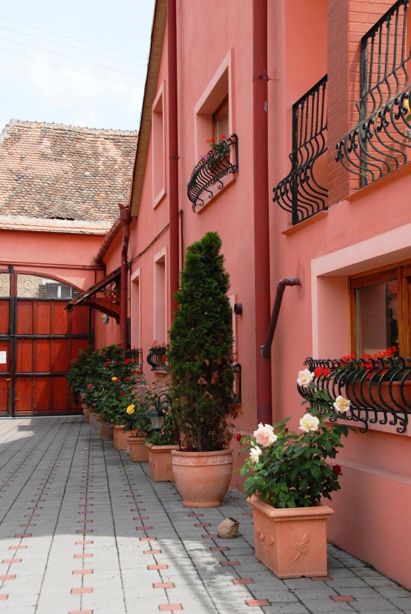 Pensiunea Daniel Sibiu Ngoại thất bức ảnh